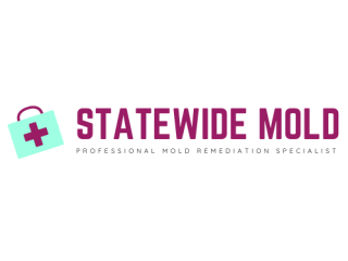 Statewide Mold